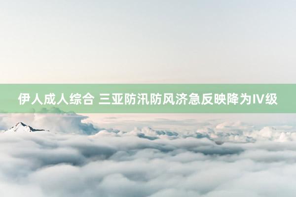伊人成人综合 三亚防汛防风济急反映降为Ⅳ级