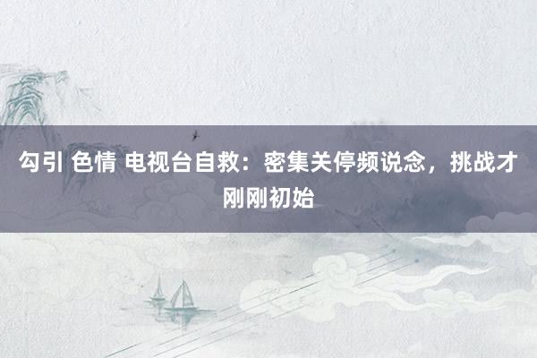 勾引 色情 电视台自救：密集关停频说念，挑战才刚刚初始