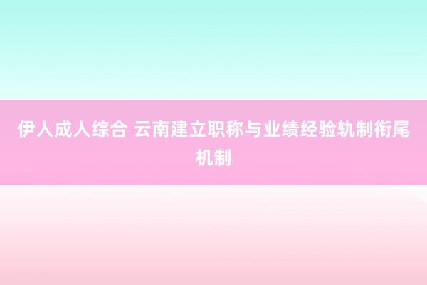 伊人成人综合 云南建立职称与业绩经验轨制衔尾机制