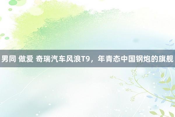 男同 做爱 奇瑞汽车风浪T9，年青态中国钢炮的旗舰