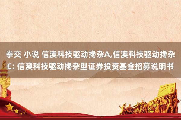 拳交 小说 信澳科技驱动搀杂A,信澳科技驱动搀杂C: 信澳科技驱动搀杂型证券投资基金招募说明书