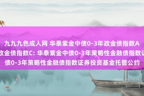 九九九色成人网 华泰紫金中债0-3年政金债指数A,华泰紫金中债0-3年政金债指数C: 华泰紫金中债0-3年策略性金融债指数证券投资基金托管公约