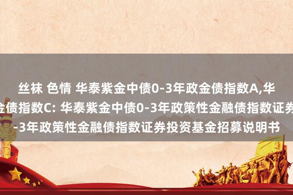 丝袜 色情 华泰紫金中债0-3年政金债指数A,华泰紫金中债0-3年政金债指数C: 华泰紫金中债0-3年政策性金融债指数证券投资基金招募说明书