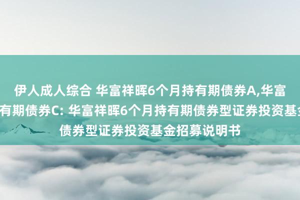 伊人成人综合 华富祥晖6个月持有期债券A,华富祥晖6个月持有期债券C: 华富祥晖6个月持有期债券型证券投资基金招募说明书