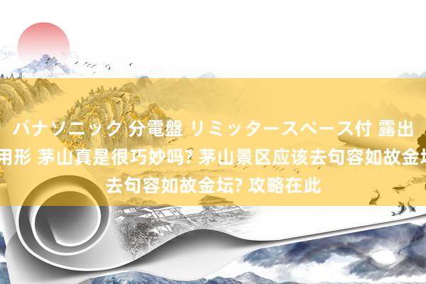 パナソニック 分電盤 リミッタースペース付 露出・半埋込両用形 茅山真是很巧妙吗? 茅山景区应该去句容如故金坛? 攻略在此