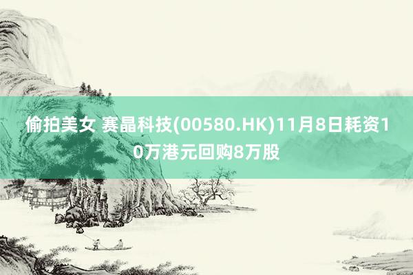 偷拍美女 赛晶科技(00580.HK)11月8日耗资10万港元回购8万股