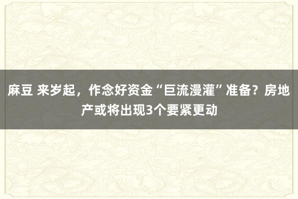 麻豆 来岁起，作念好资金“巨流漫灌”准备？房地产或将出现3个要紧更动
