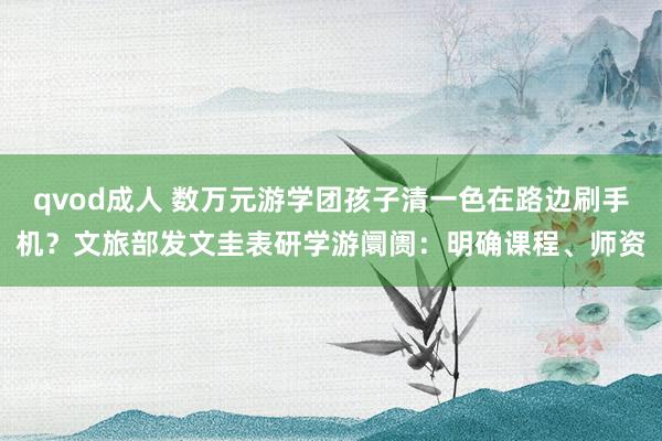 qvod成人 数万元游学团孩子清一色在路边刷手机？文旅部发文圭表研学游阛阓：明确课程、师资