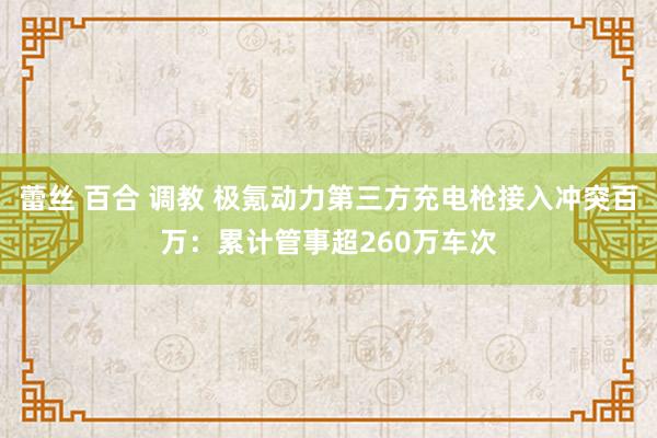 蕾丝 百合 调教 极氪动力第三方充电枪接入冲突百万：累计管事超260万车次