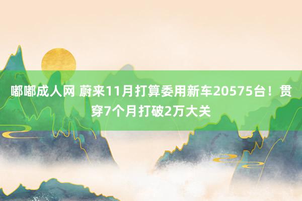 嘟嘟成人网 蔚来11月打算委用新车20575台！贯穿7个月打破2万大关