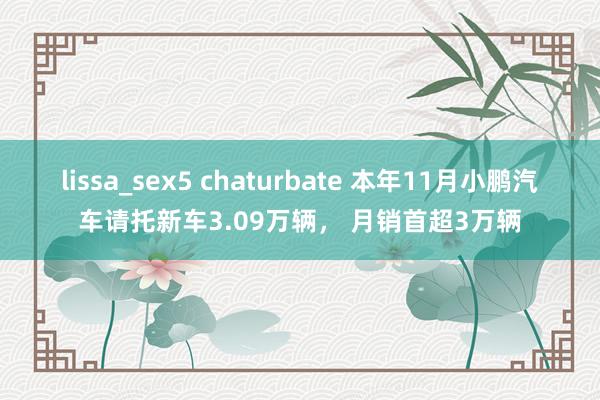 lissa_sex5 chaturbate 本年11月小鹏汽车请托新车3.09万辆， 月销首超3万辆