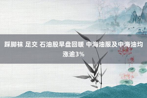 踩脚袜 足交 石油股早盘回暖 中海油服及中海油均涨逾3%
