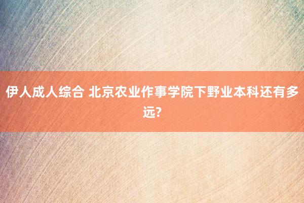 伊人成人综合 北京农业作事学院下野业本科还有多远?