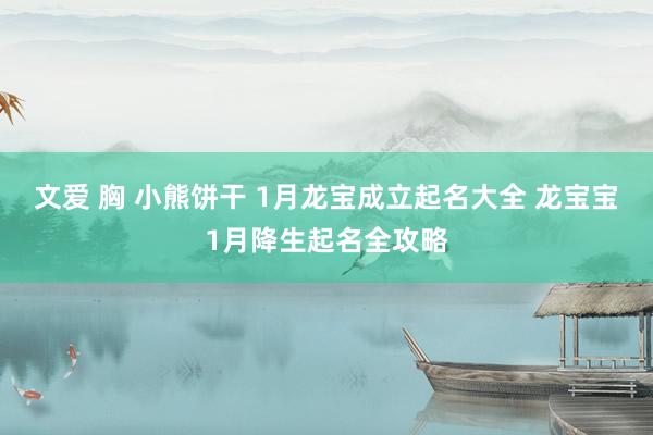 文爱 胸 小熊饼干 1月龙宝成立起名大全 龙宝宝1月降生起名全攻略