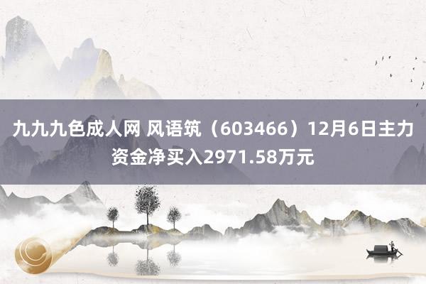 九九九色成人网 风语筑（603466）12月6日主力资金净买入2971.58万元