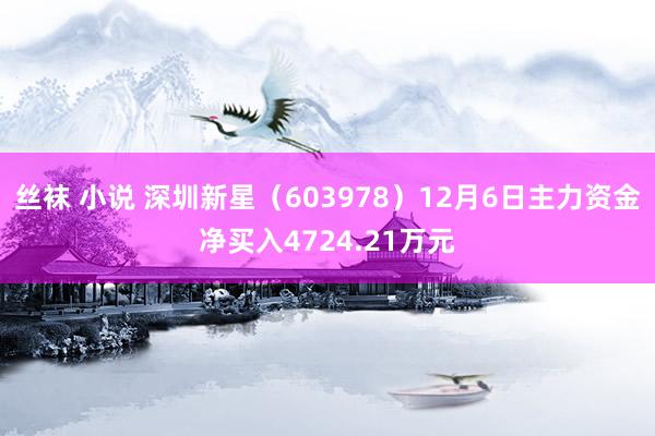 丝袜 小说 深圳新星（603978）12月6日主力资金净买入4724.21万元