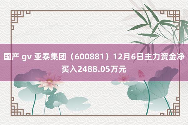 国产 gv 亚泰集团（600881）12月6日主力资金净买入2488.05万元