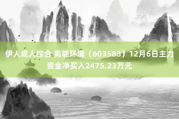 伊人成人综合 高能环境（603588）12月6日主力资金净买入2475.23万元