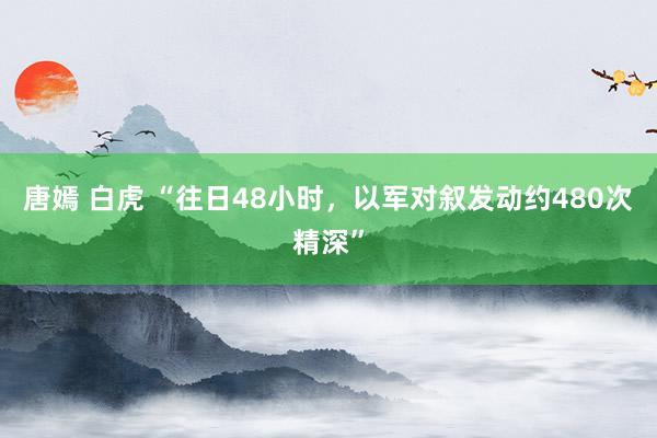唐嫣 白虎 “往日48小时，以军对叙发动约480次精深”