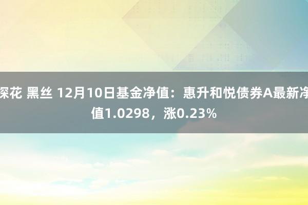 探花 黑丝 12月10日基金净值：惠升和悦债券A最新净值1.0298，涨0.23%