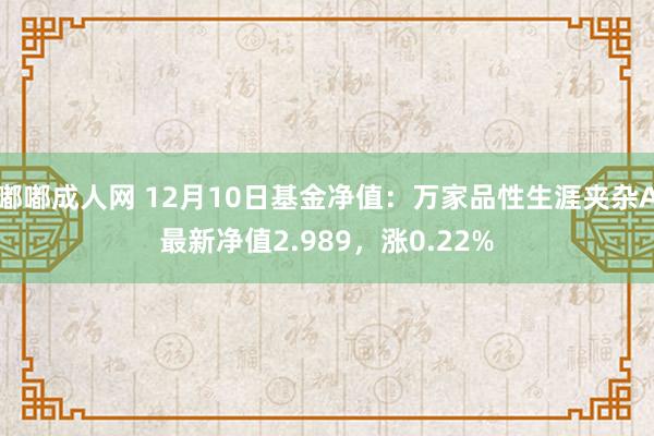 嘟嘟成人网 12月10日基金净值：万家品性生涯夹杂A最新净值2.989，涨0.22%