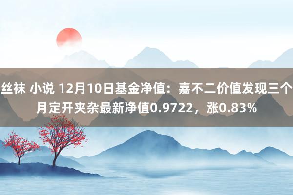 丝袜 小说 12月10日基金净值：嘉不二价值发现三个月定开夹杂最新净值0.9722，涨0.83%