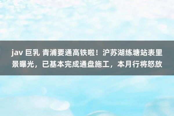 jav 巨乳 青浦要通高铁啦！沪苏湖练塘站表里景曝光，已基本完成通盘施工，本月行将怒放