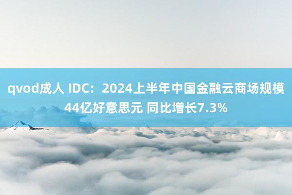 qvod成人 IDC：2024上半年中国金融云商场规模44亿好意思元 同比增长7.3%