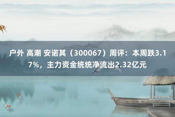 户外 高潮 安诺其（300067）周评：本周跌3.17%，主力资金统统净流出2.32亿元