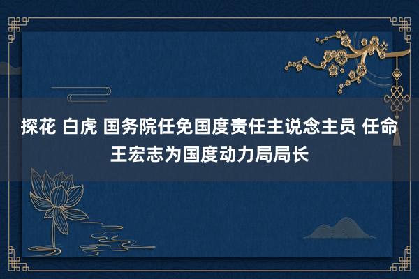 探花 白虎 国务院任免国度责任主说念主员 任命王宏志为国度动力局局长