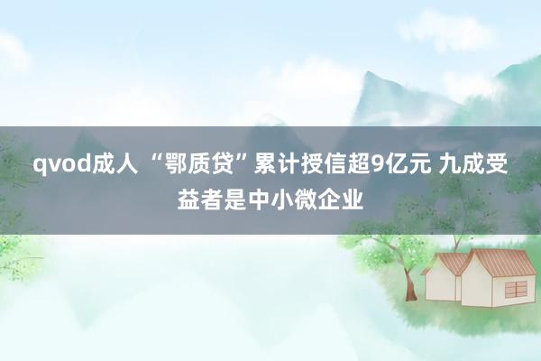 qvod成人 “鄂质贷”累计授信超9亿元 九成受益者是中小微企业