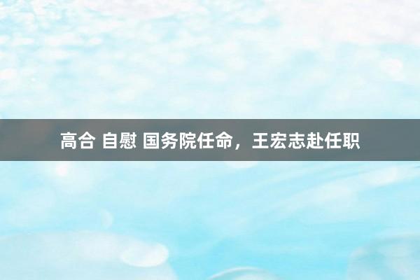 高合 自慰 国务院任命，王宏志赴任职