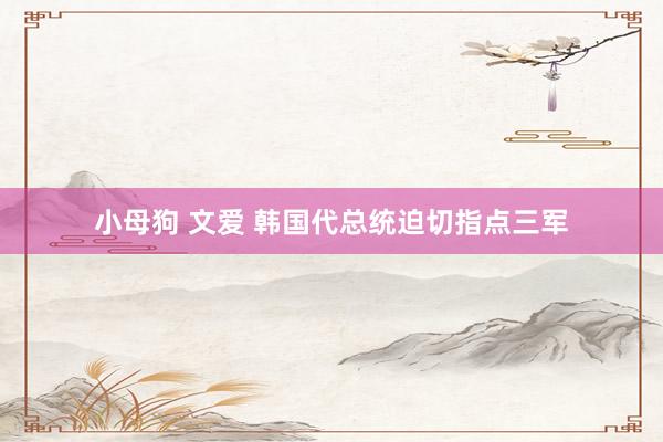 小母狗 文爱 韩国代总统迫切指点三军