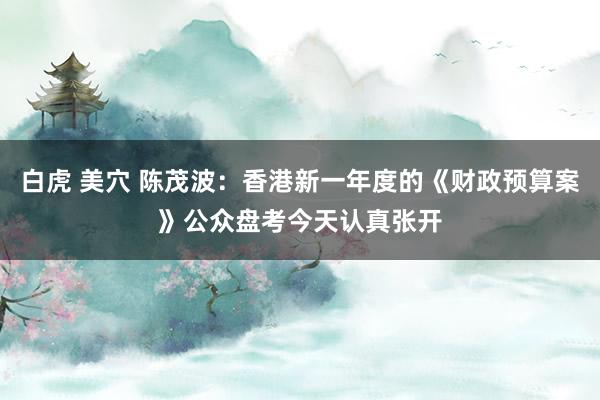 白虎 美穴 陈茂波：香港新一年度的《财政预算案》公众盘考今天认真张开