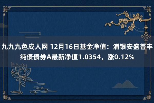 九九九色成人网 12月16日基金净值：浦银安盛普丰纯债债券A最新净值1.0354，涨0.12%
