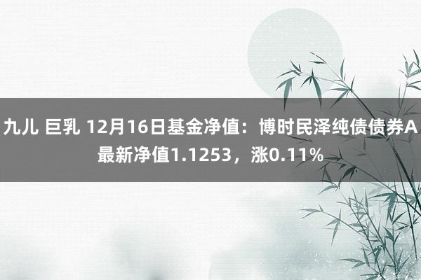 九儿 巨乳 12月16日基金净值：博时民泽纯债债券A最新净值1.1253，涨0.11%