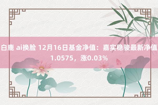 白鹿 ai换脸 12月16日基金净值：嘉实稳骏最新净值1.0575，涨0.03%