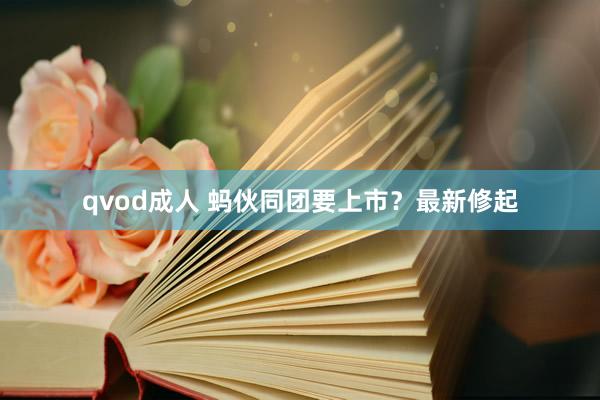 qvod成人 蚂伙同团要上市？最新修起