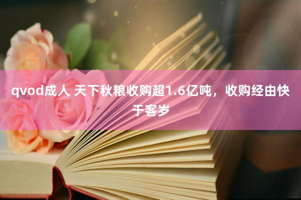 qvod成人 天下秋粮收购超1.6亿吨，收购经由快于客岁