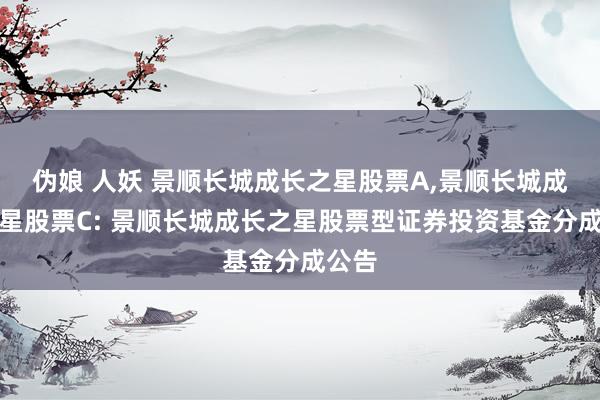 伪娘 人妖 景顺长城成长之星股票A，景顺长城成长之星股票C: 景顺长城成长之星股票型证券投资基金分成公告