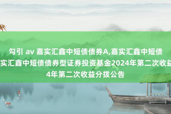 勾引 av 嘉实汇鑫中短债债券A,嘉实汇鑫中短债债券C: 嘉实汇鑫中短债债券型证券投资基金2024年第二次收益分拨公告