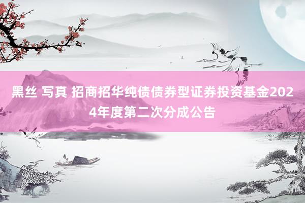 黑丝 写真 招商招华纯债债券型证券投资基金2024年度第二次分成公告
