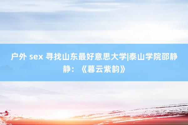 户外 sex 寻找山东最好意思大学|泰山学院邵静静：《暮云紫韵》