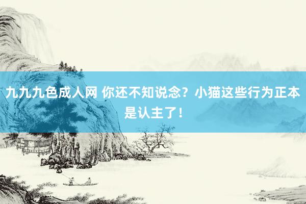九九九色成人网 你还不知说念？小猫这些行为正本是认主了！