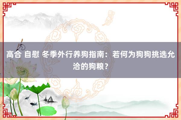 高合 自慰 冬季外行养狗指南：若何为狗狗挑选允洽的狗粮？