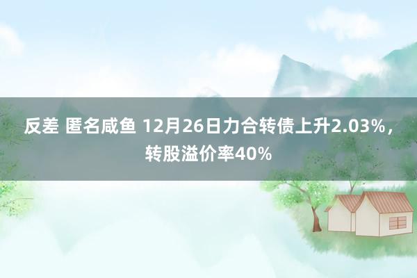 反差 匿名咸鱼 12月26日力合转债上升2.03%，转股溢价率40%