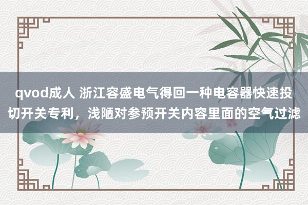 qvod成人 浙江容盛电气得回一种电容器快速投切开关专利，浅陋对参预开关内容里面的空气过滤