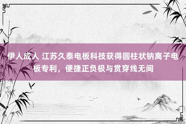 伊人成人 江苏久泰电板科技获得圆柱状钠离子电板专利，便捷正负极与贯穿线无间