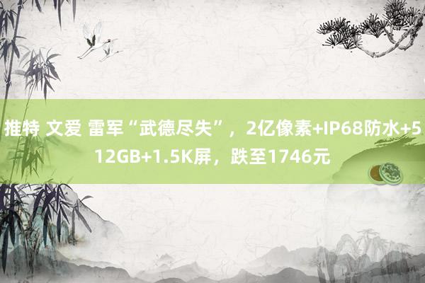 推特 文爱 雷军“武德尽失”，2亿像素+IP68防水+512GB+1.5K屏，跌至1746元