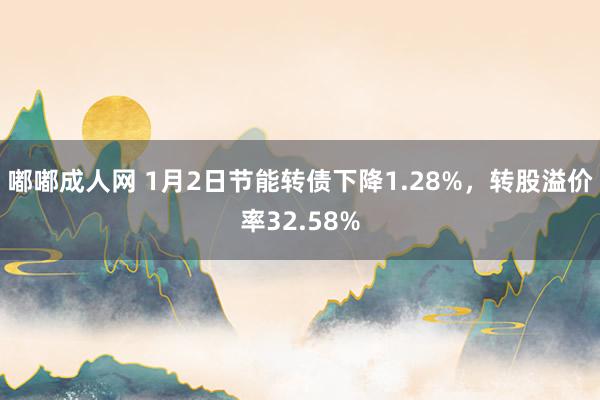 嘟嘟成人网 1月2日节能转债下降1.28%，转股溢价率32.58%